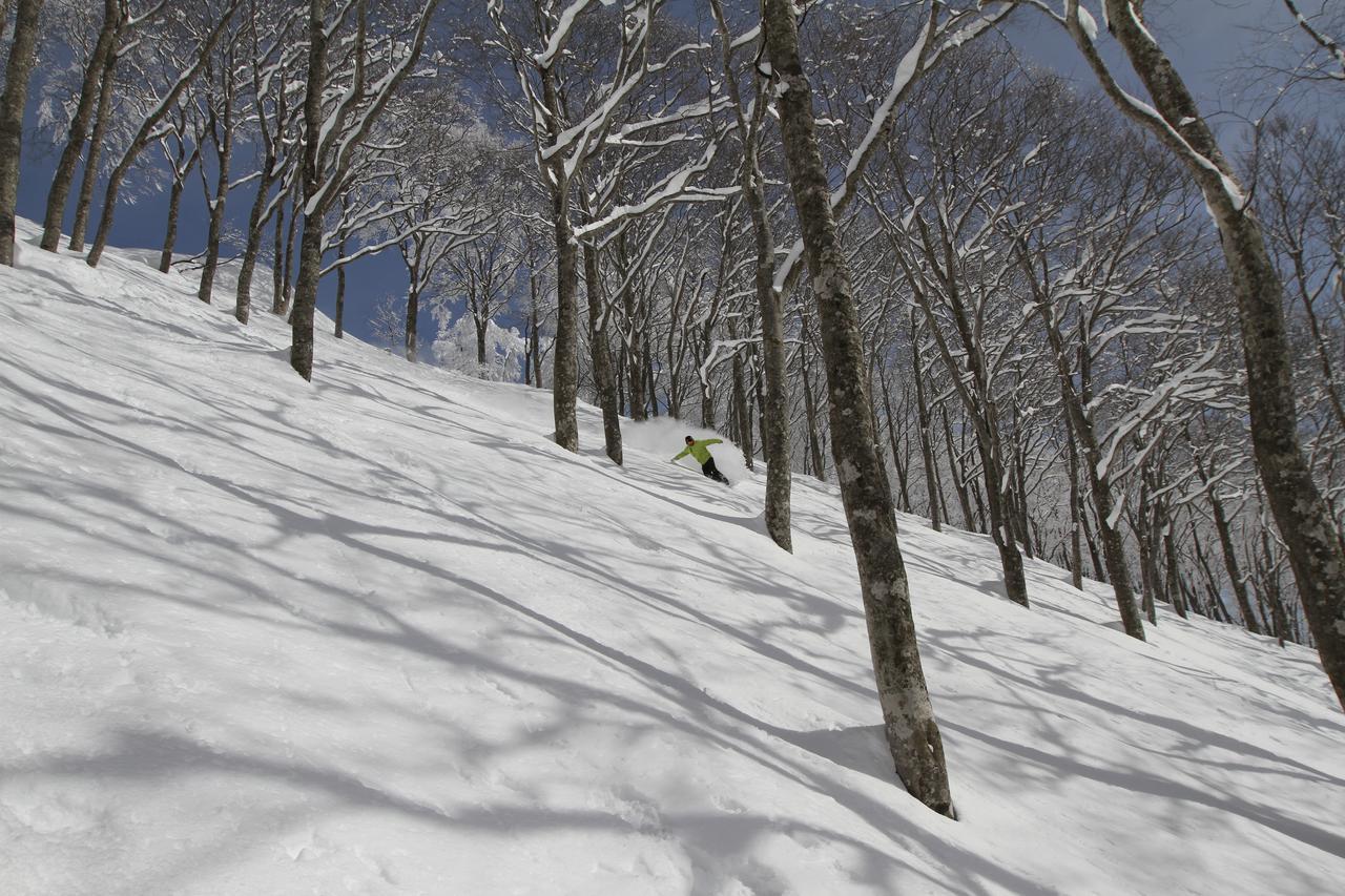 Powder Temple Otel Hakuba Dış mekan fotoğraf