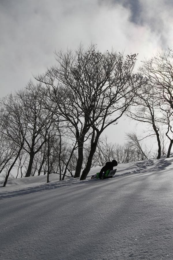 Powder Temple Otel Hakuba Dış mekan fotoğraf